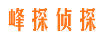 东城侦探公司